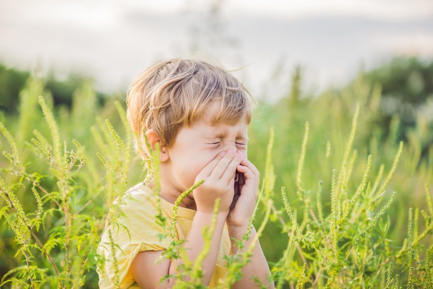 Pollen et allergies