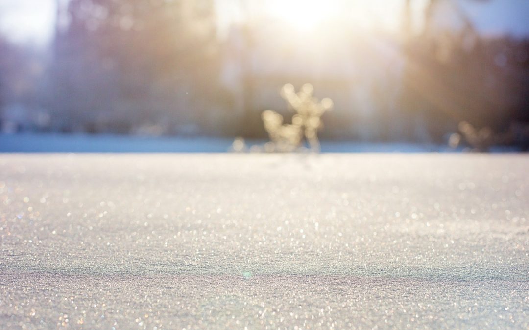 L’hiver et l’immunité